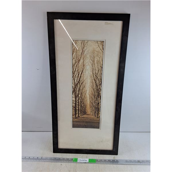 Framed Wall Art Print 23" x 16"