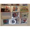 Image 4 : Jeff Gordon Card Binder w/ Approx (26) Cards