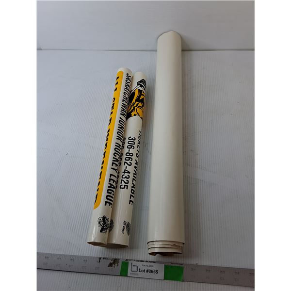 (2) Posters- Jenny McCarthy & Sask. Junior Hockey 1996 Up to 32.5" x 22.25" - PICK UP