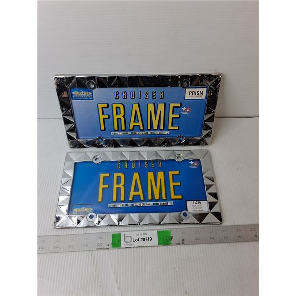 (2) Metal License Plate Frames- Sealed