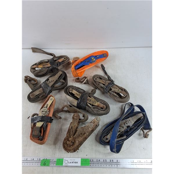 Assorted Ratchet Straps