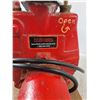 Image 3 : *Red Lion Water Pump, Consigner Says Motor Works, Pump Needs Seals, As Is - PICK UP
