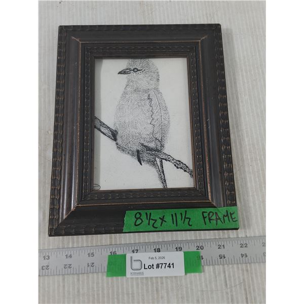 Framed Print of an Abyssinian Roller Bird, Measurements in Pics