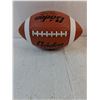 Image 5 : (2) Vinyl  Footballs