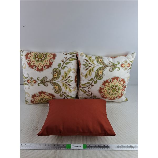 (3) Pillows 21" & 19"