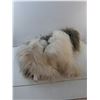 Image 4 : Sheep Dog Stuffie 22" Tall - PICK UP