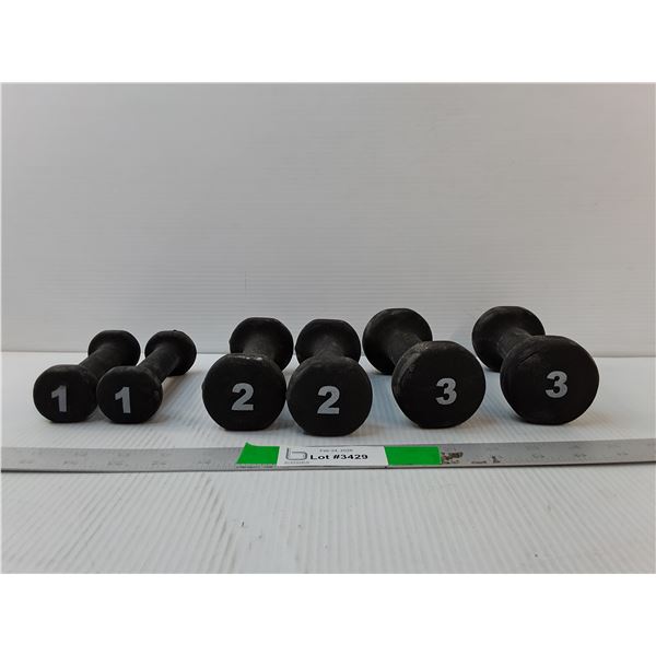(3) Pairs of Dumbbells- 1, 2 & 3 lbs - PICK UP