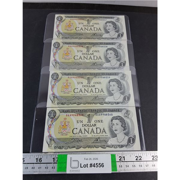(4) 1973 Canada 1 Dollar Bank Notes in Sequence-Uncirculated