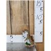 Image 2 : Meet Howdy The Pine Squirrel Full Body Taxidermy Mount