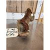 Image 5 : Meet Howdy The Pine Squirrel Full Body Taxidermy Mount
