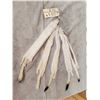 Image 1 : 5 Tanned Ermine Furs Taxidermy