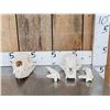 Image 1 : 2 Black Bear Skulls Taxidermy