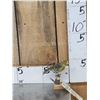 Image 1 : Lizard Canary Bird Taxidermy