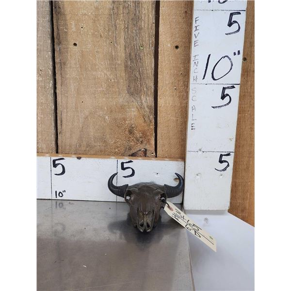 Bronze Bison Skull Sculpture