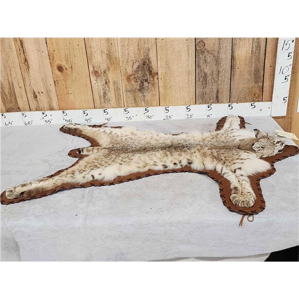 Bobcat Rug Taxidermy