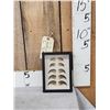 Image 1 : 10 Bear claws in a frame Taxidermy