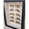 Image 2 : 10 Bear claws in a frame Taxidermy