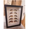 Image 3 : 10 Bear claws in a frame Taxidermy