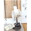 Image 1 : Hybrid White Parrot Full Body Bird Taxidermy