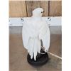 Image 6 : Hybrid White Parrot Full Body Bird Taxidermy