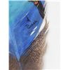 Image 3 : Hand Painted Turkey Feather In Frame