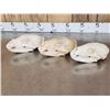 Image 6 : 3 Black Bear Skulls Taxidermy