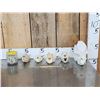 Image 1 : Small Animal Skulls & Bone Lot Taxidermy