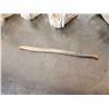 Image 5 : Small Animal Skulls & Bone Lot Taxidermy