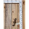 Image 1 : Climbing Squirrel Full Body Taxidermy Mount