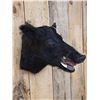 Image 3 : Wild Boar Hog Shoulder Mount Taxidermy