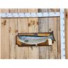 Image 1 : 29" Chinook Salmon Real Skin Fish Taxidermy