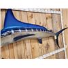 Image 5 : 8' 7" Marlin Reproduction Fish Taxidermy