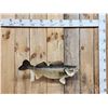 Image 1 : 29" Walleye Real Skin Fish Taxidermy