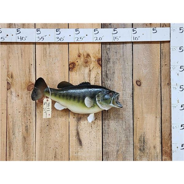 22" Largemouth Bass Real Skin Fish Taxidermy