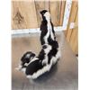 Image 8 : Skunkipede Full Body Taxidermy Mount