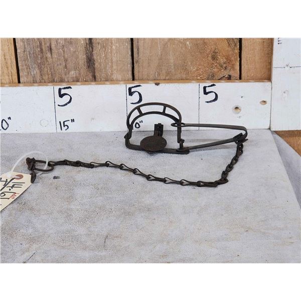 Newhouse Oneida Community #91 Single Longspring Trap