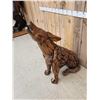 Image 2 : Howling Wolf Driftwood Sculpture