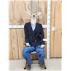 Image 1 : Meet Uncle Buck Half Deer Half Man Full Body Taxidermy Mount