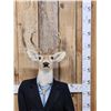 Image 2 : Meet Uncle Buck Half Deer Half Man Full Body Taxidermy Mount