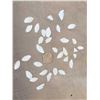 Image 1 : Group Of 32 Halibut Ear Bones Taxidermy