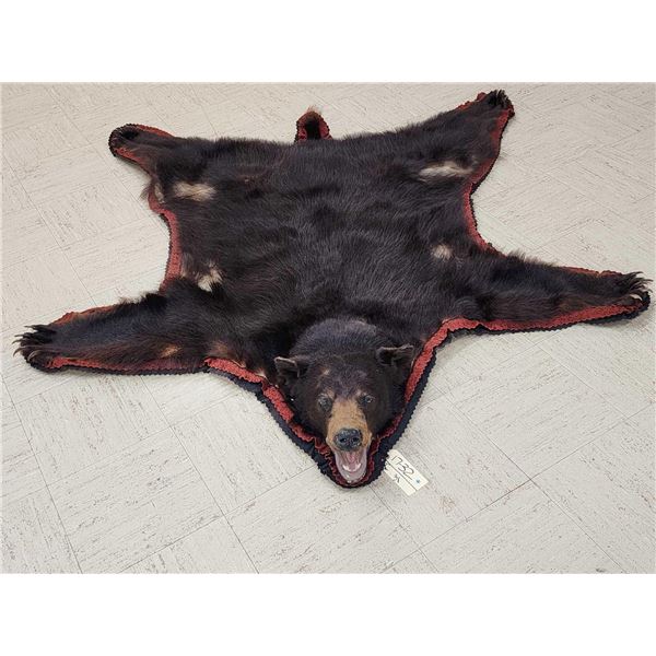 Black Bear Rug Taxidermy