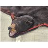 Image 3 : Black Bear Rug Taxidermy