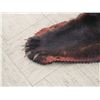 Image 4 : Black Bear Rug Taxidermy