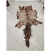Image 1 : Soft Tanned Elk Skin Taxidermy