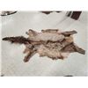 Image 2 : Soft Tanned Elk Skin Taxidermy