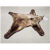 Image 3 : Alaskan Grizzly Bear Rug Taxidermy
