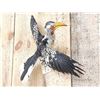 Image 3 : Southern Yello Billed Hornbill In Flight Bird Taxidermy