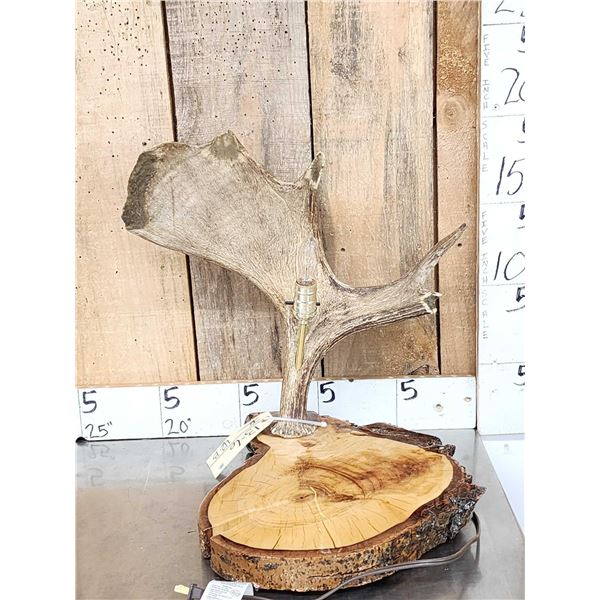 Live Edge Wood & Moose Antler Desk Lamp