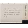 Image 11 : Vintage Myerson Tooth Corporation Dentists False Tooth Display Tray