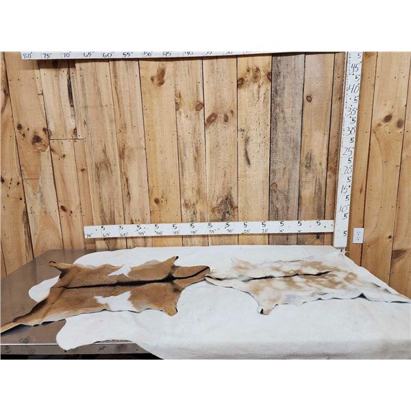 2 Soft Tanned Goat Skins Taxidermy
